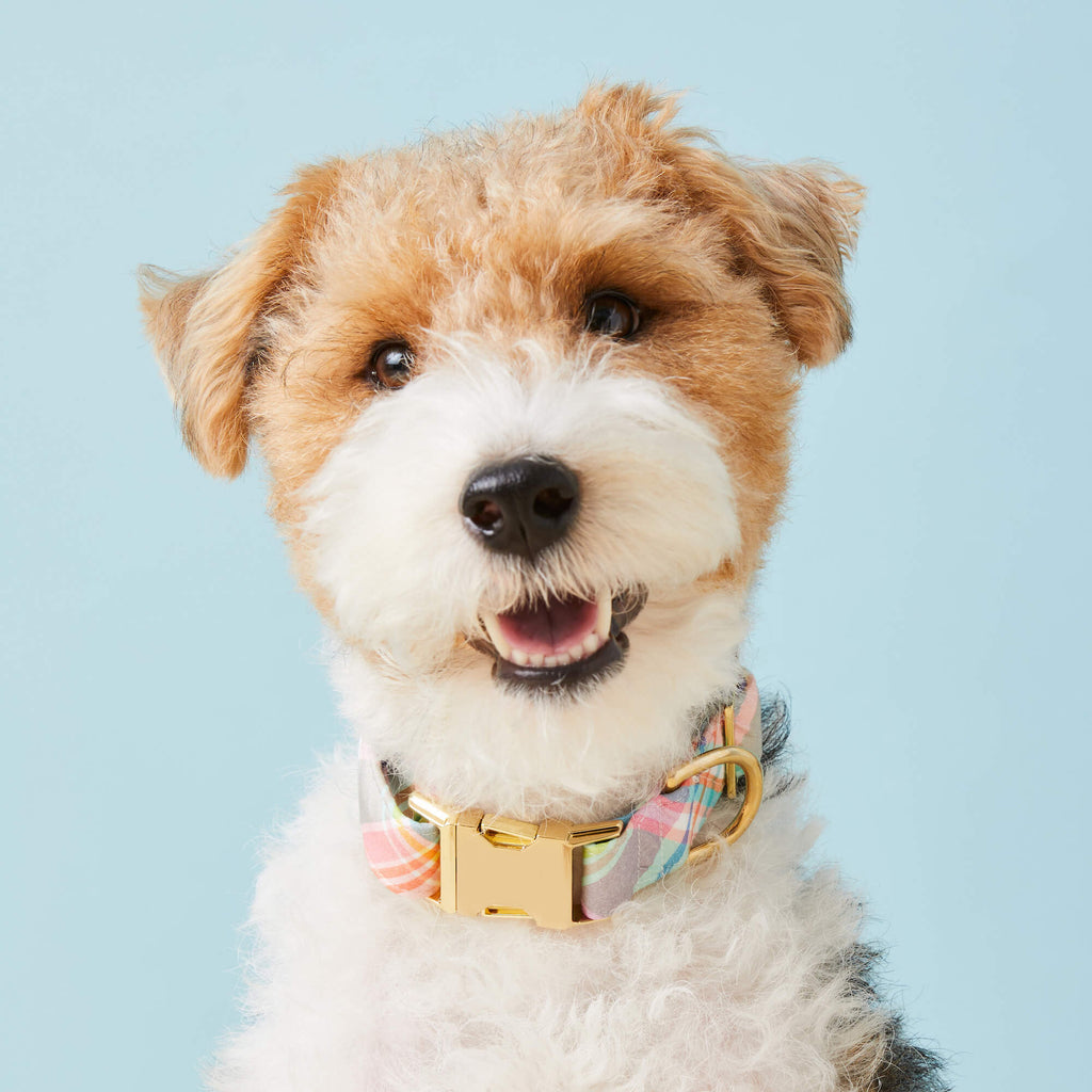 FINAL SALE - Blooming Plaid Spring Easter Collar