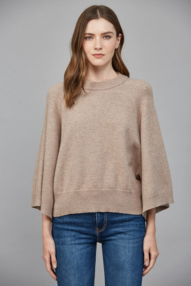 Reglan Sleeve Crewneck Sweater