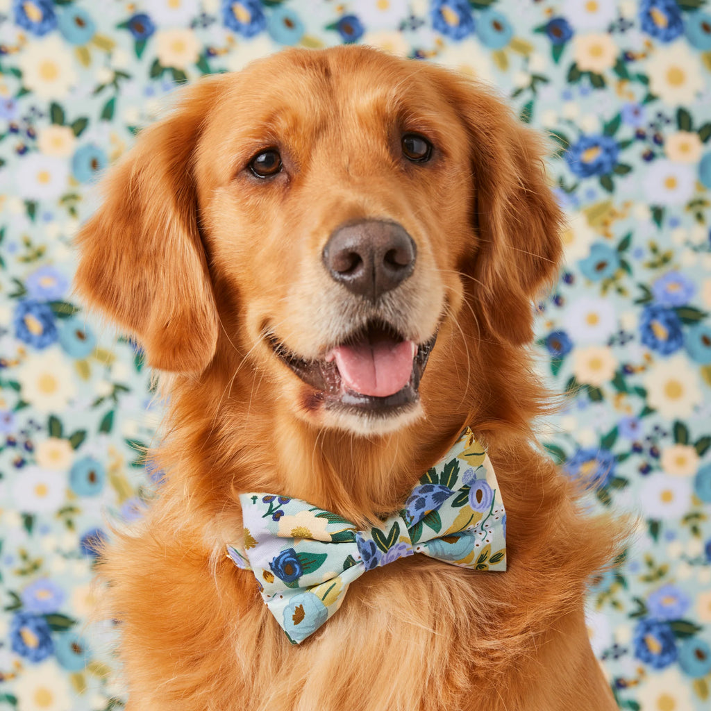 Rifle Paper Co. Vintage Blossom Spring Bow Tie