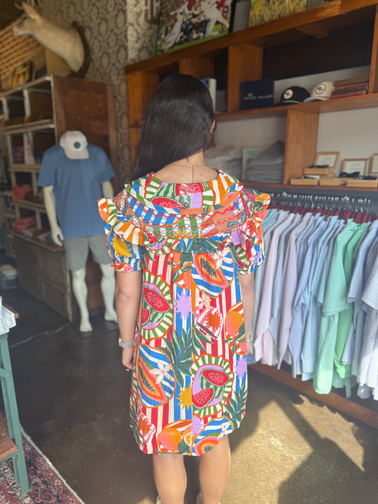 FINAL SALE - Tropical Island Fruit Stitch Peter Pan Dress